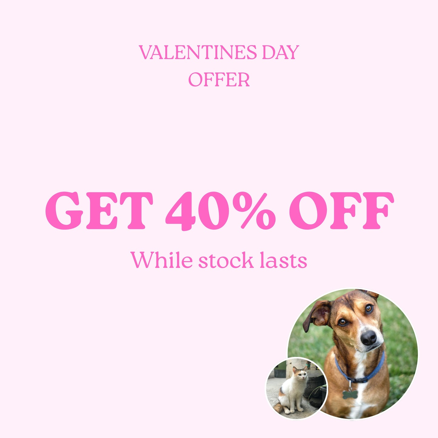 Say Goodbye to Dog Hair on Clothes – Fur Fighter™